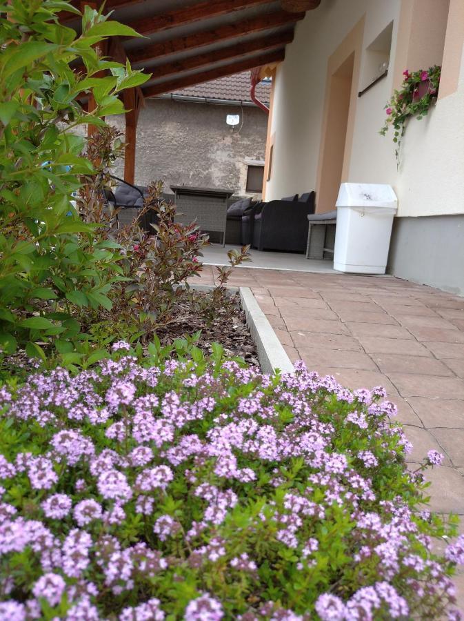 Apartmány Opolany Kültér fotó